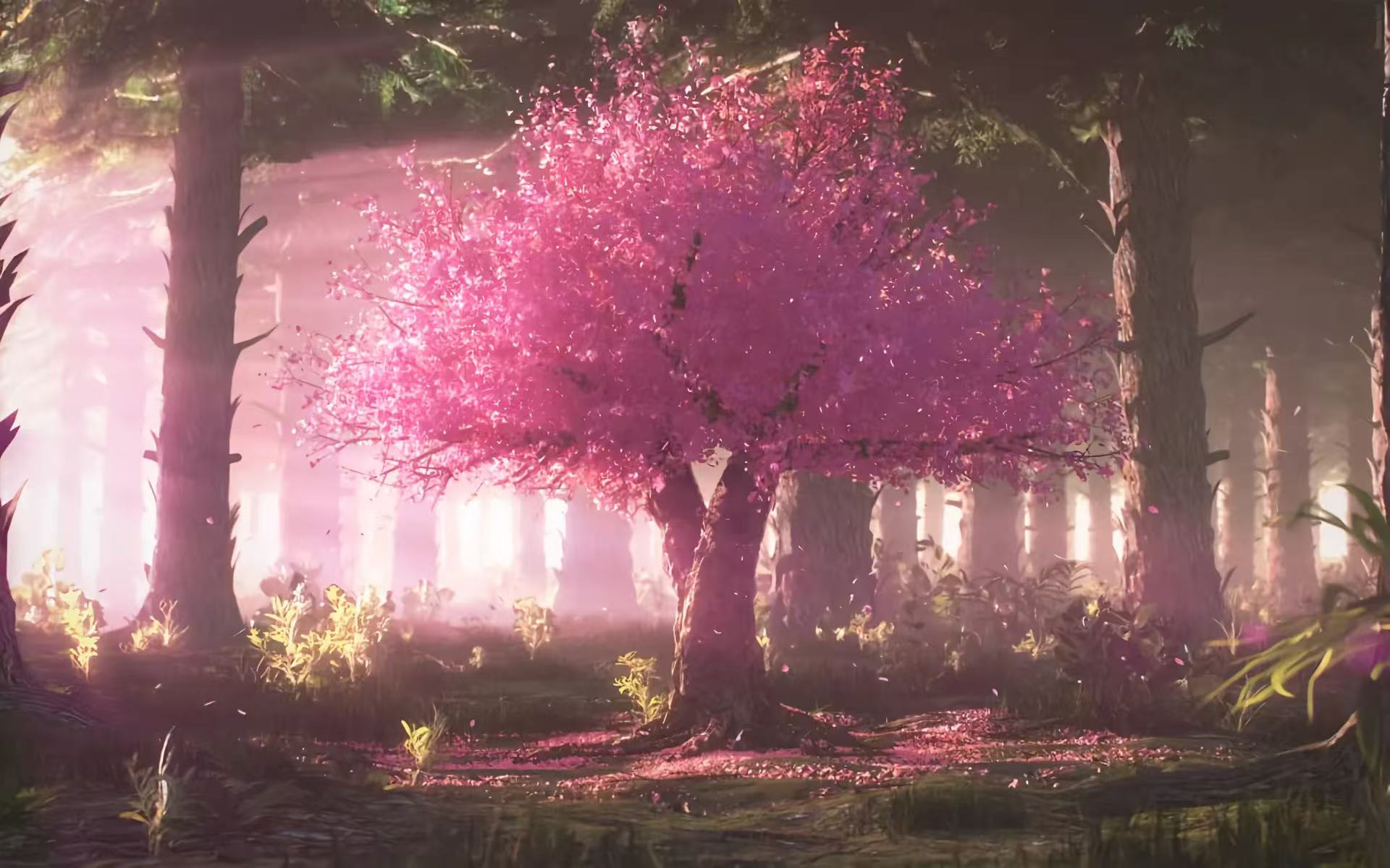 Desktop banner image 4